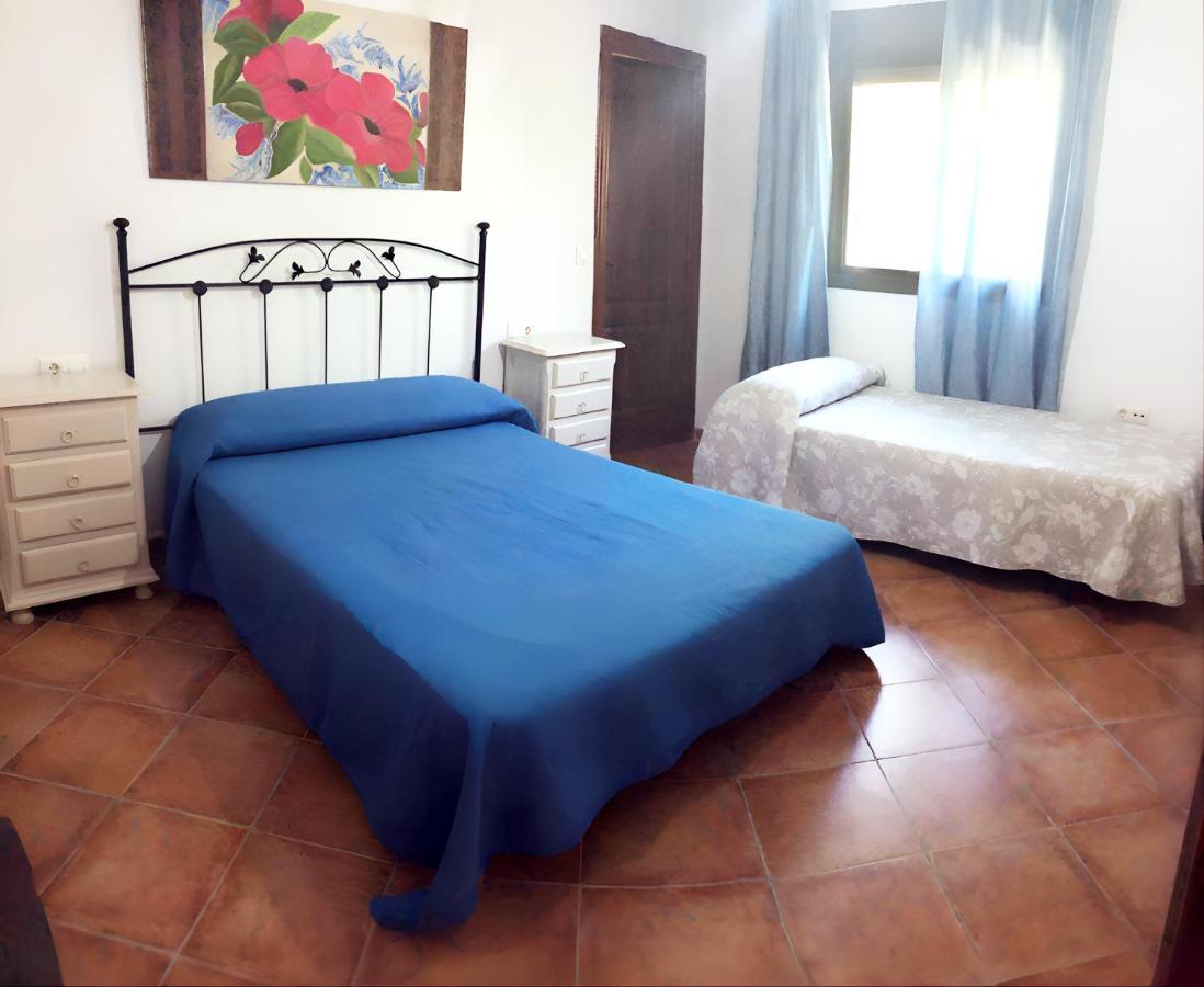Ferienhaus Chalet Con Piscina Privada En Conil-solo Familia Y Parejas *